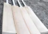 Best Cricket Bats