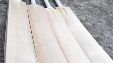 Best Cricket Bats
