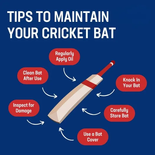 Cricket Bat
