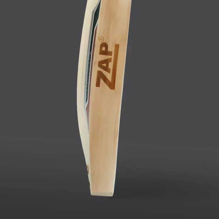 Modern Cricket Bats