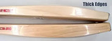 Modern Cricket Bats
