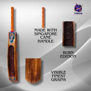 VINOX BAVANDAR DIAMIND BURN EDITION BAT