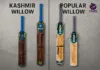 Difference Between Kashmir & Popular Willow Bats