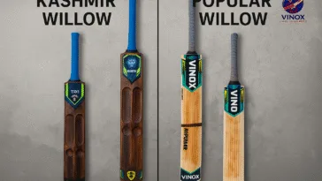 Difference Between Kashmir & Popular Willow Bats