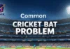 Cricket bat problems