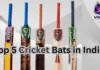 Top 5 Cricket Bats in India (2025)