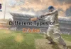 Different Types of Cricket