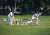 Cricket Bat Technology and Trend