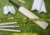 Buying a Bat Online vs Offline: Pros & Cons