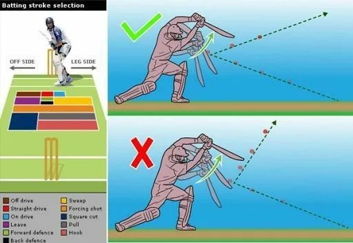 cricket batting tips for beginners